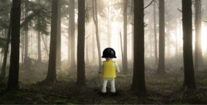 The first rays of the sun begins to lift the mist in a pine forest.