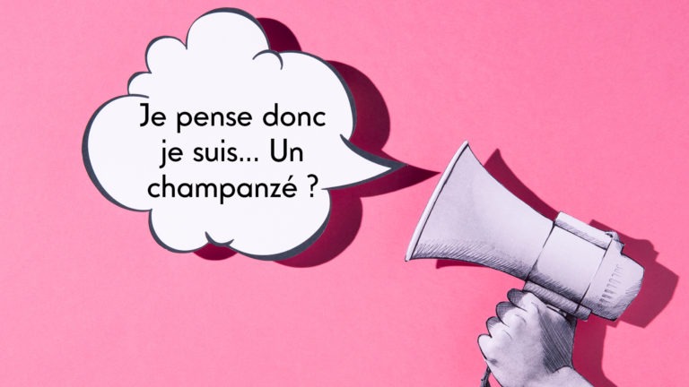 Conférence je pense donc