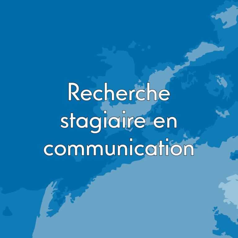 Recherche Stagiaire